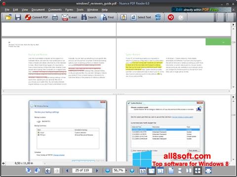 Screenshot Nuance PDF Reader Windows 8