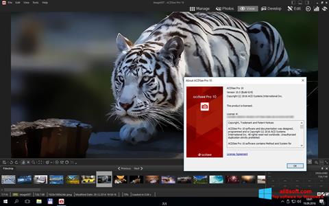Screenshot ACDSee Pro Windows 8