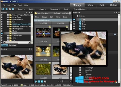Screenshot ACDSee Photo Manager Windows 8