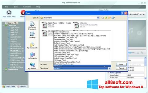 Screenshot Any Video Converter Windows 8