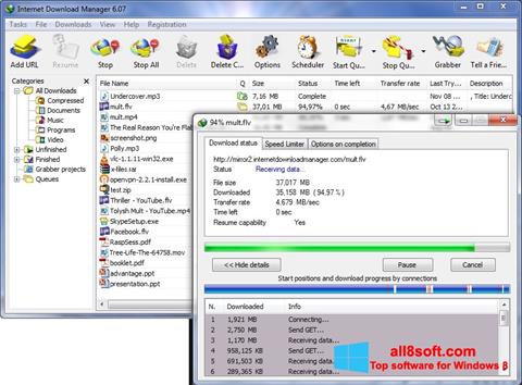 Screenshot Internet Download Manager Windows 8
