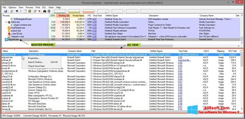 Screenshot Process Explorer Windows 8