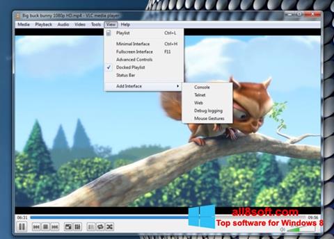 Screenshot VLC Media Player Windows 8